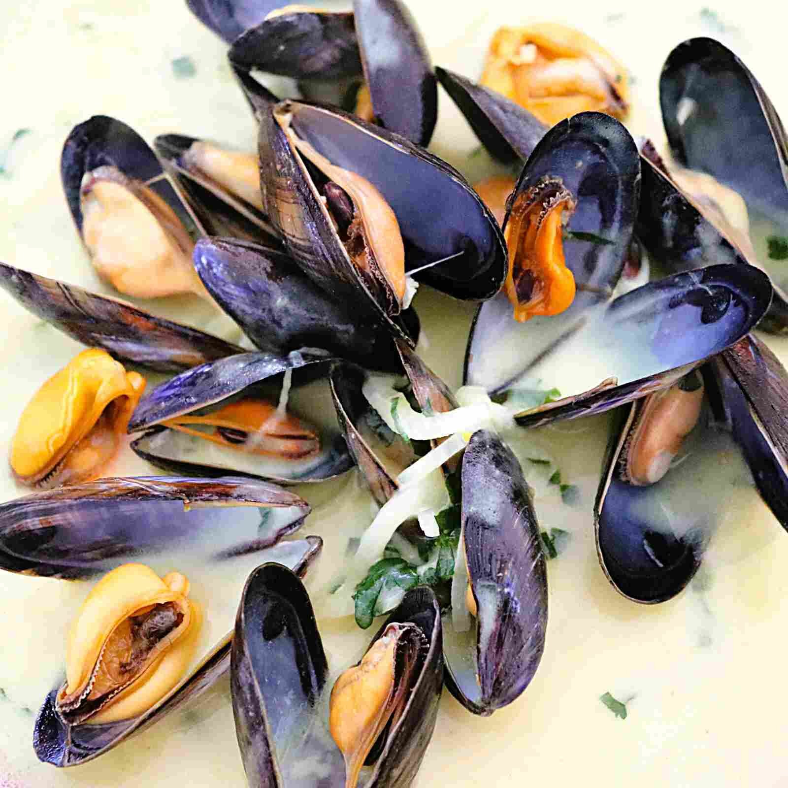 Bild Miesmuscheln mit Currysauce