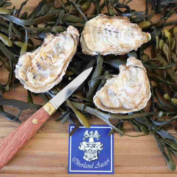 Fine BIO Austern N°4 – drei geschlossene Bio-Austern auf frischen Algen mit Austernmesser und Oberland Auster Logo, nachhaltig gezüchtet in der Bretagne von Saint Kerber