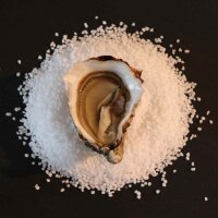 Fine Reserve Austern N&deg;4 &ndash; ge&ouml;ffnet auf Salzbett, feines, jodiges Aroma mit nussiger Note, Qualit&auml;t aus der Bretagne, ideal f&uuml;r Gourmetgenuss