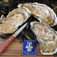Fine Reserve Austern N°0 – drei geschlossene...