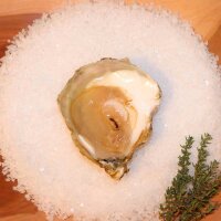 Ge&ouml;ffnete Belon-Auster Reserve Gr&ouml;&szlig;e P &ndash; Hu&icirc;tre plate de Cancale, kr&auml;ftig salzig-nussiger Geschmack, serviert auf Meersalz und Holzbrett.