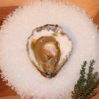 Ge&ouml;ffnete Belon Reserve Auster Gr&ouml;&szlig;e G auf Meersalz und Holzbrett &ndash; nussig, mineralisch, Premium aus Cancale