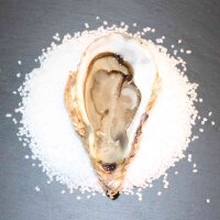 Fine Auster aus Irland N&deg;2, 50 St&uuml;ck &ndash; ge&ouml;ffnet auf Salzbett, kr&auml;ftig und harmonisch im Geschmack, nachhaltig gez&uuml;chtet an Irlands Westk&uuml;ste