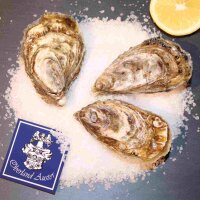 Tsarskaya Speciales N°3 – frische geschlossene...