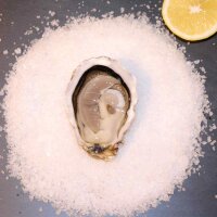 Tsarskaya Speciales N&deg;3 &ndash; frisch ge&ouml;ffnete Austern auf Meersalz mit Zitronenscheibe, VPE 36 St&uuml;ck, zartes, festes Fleisch Gr&ouml;&szlig;e 3