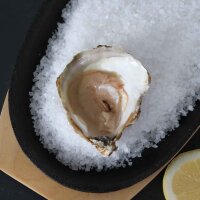 La 1930 Belon Auster P &ndash; ge&ouml;ffnet auf Gussteller mit Zitrone, 50 Atlantik-Hu&icirc;tre plate aus Cancale, authentischer Frankreichgenuss