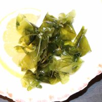 Meeressalat Algen frisch serviert in Jakobsmuschelschale mit Zitronenscheibe &ndash; Superfood aus dem Meer