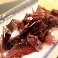 Frische Dulse Algen Nahaufnahme auf kleiner Servierschale &ndash; jodreiche, gesunde Meeresalgen f&uuml;r Gastronomie und Feinkost