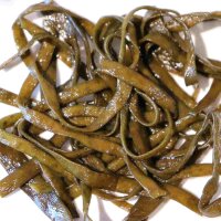 Nahaufnahme gewaschener Meeresspaghetti Algen &ndash; frische, essbare Meeresalgen reich an Mineralstoffen, erh&auml;ltlich bei Oberland Auster