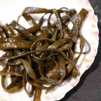 Gewaschene Meeresspaghetti Algen angerichtet in Jakobsmuschelschale &ndash; Delikatesse aus Wildalgen f&uuml;r Salate, Bowls und Fischgerichte
