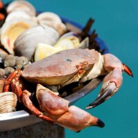 Gekochter kleiner Taschenkrebs 400&ndash;600 g auf Meeresfr&uuml;chteplatte &ndash; perfekt f&uuml;r Vorspeisen und Seafood-Buffet