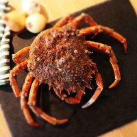 Frische Seespinne von oben auf Schieferplatte mit...