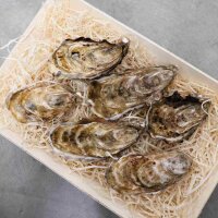 Auster Irma Gr&ouml;&szlig;e N&deg;3