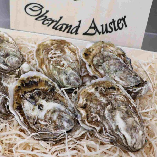 Spezial Auster Emma Größe N°3