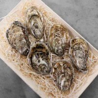 Spezial Auster Emma Gr&ouml;&szlig;e N&deg;3