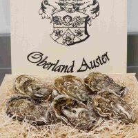 Spezial Auster Emma Gr&ouml;&szlig;e N&deg;3