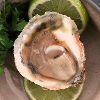 Bayrisch Plate Austern Gr&ouml;&szlig;e G &ndash; flache europ&auml;ische Austern mit Limette und Petersilie | Oberland Auster