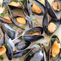Miesmuscheln Reserve aus der Bretagne