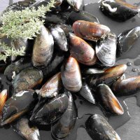 Miesmuscheln Reserve aus Irland, 2 kg Pack