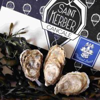 Fine Saint Kerber Austern N°4