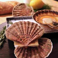 Jakobsmuscheln, Gr&ouml;&szlig;e G 3 kg